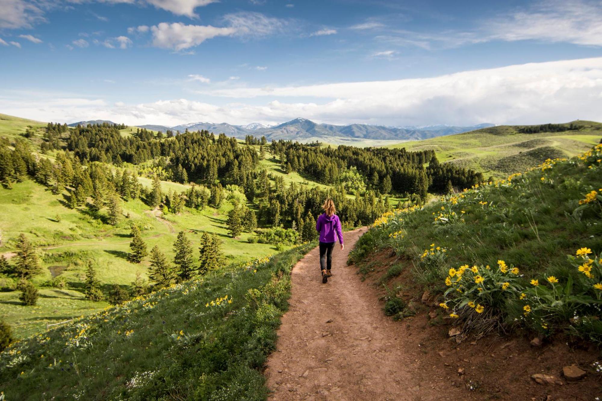 Even Hotel Bozeman Yellowstone Intl Arpt By Ihg Belgrade Eksteriør bilde